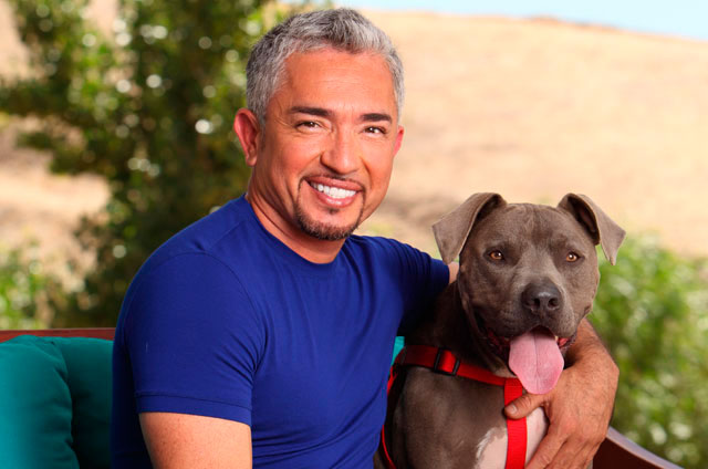 CesarMillan-Junior