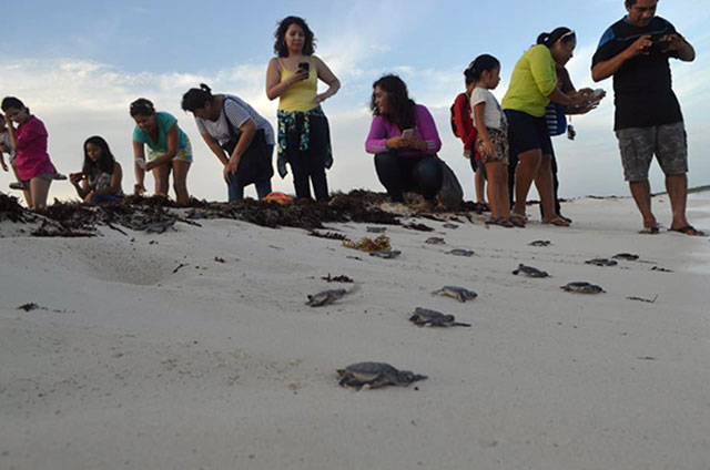 COZUMEL-(2)