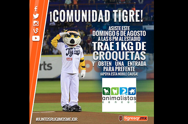 tigres