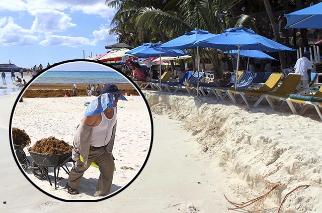 Imposible recuperación de playas por falta de recurso