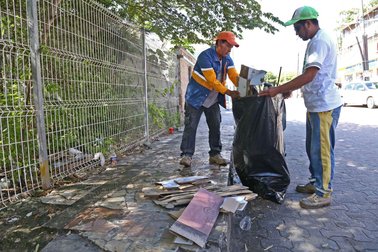 PARQUES-Y-JARDINES-SOLIDARIDAD