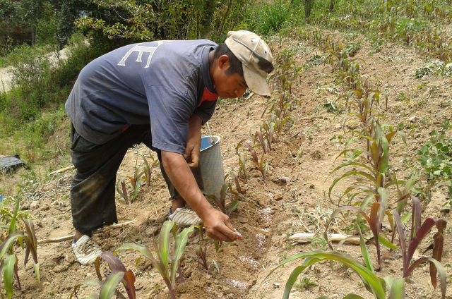 Campesinos piden ayuda para mejorar las cosechas