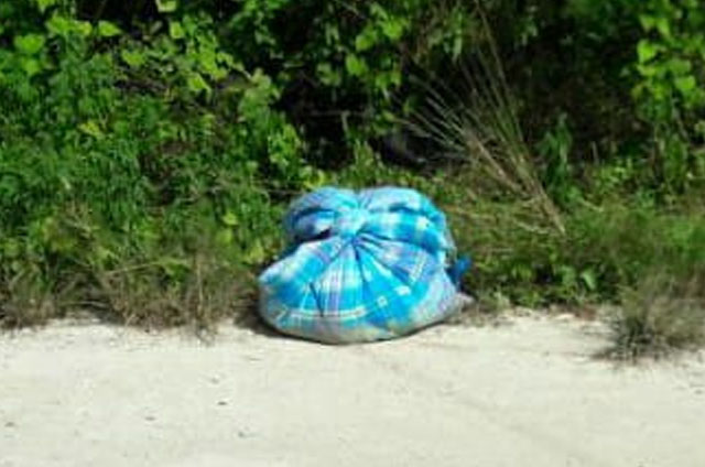 Hallan cuerpo desmembrado en la ruta de los cenotes