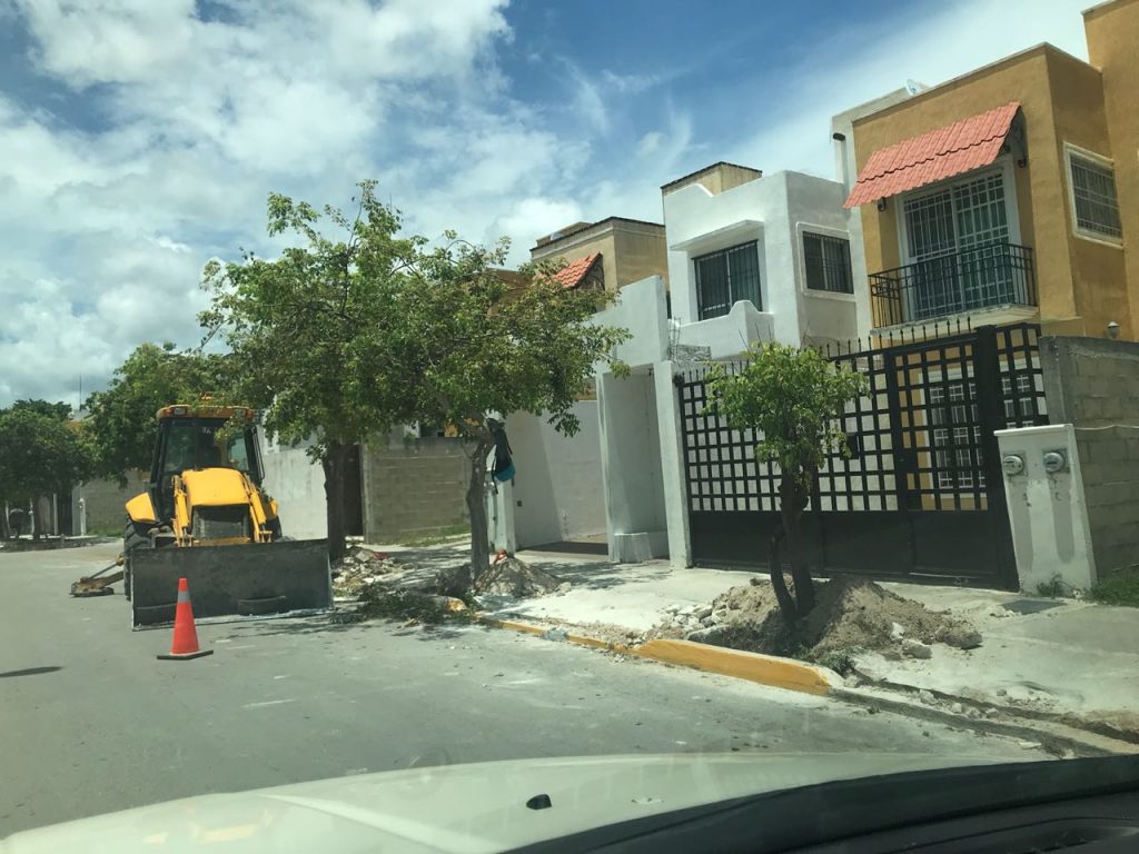 Denuncian daños en áreas verdes