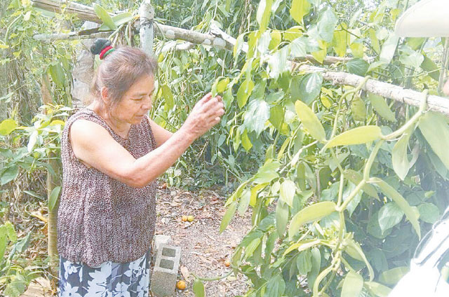 Minimizan estragos por sequía