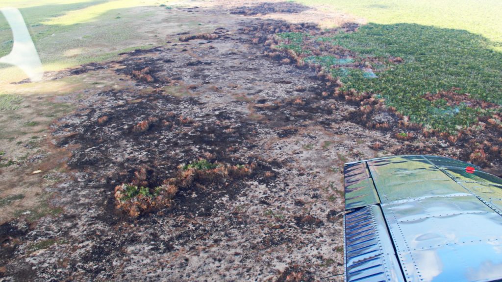 Avanzan un 85% en la extinción del fuego en el “Uaimil”