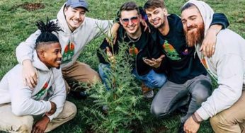 Un meme logra que youtuber plante 20 millones de árboles