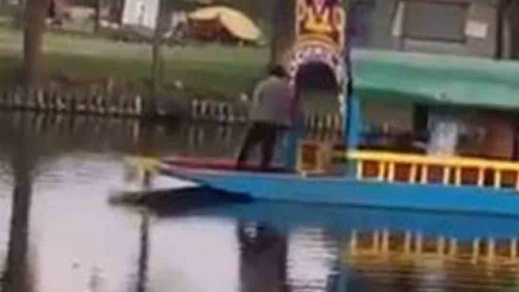 Captan a ‘turista’ orinando desde trajinera en canal de Xochimilco
