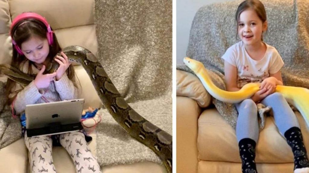 Conoce a la pequeña Emi y a su mejor amiga, una serpiente de cinco metros