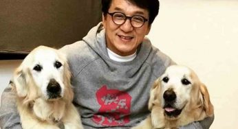 ¿Jackie Chan tiene coronavirus? ¿Está en cuarentena?