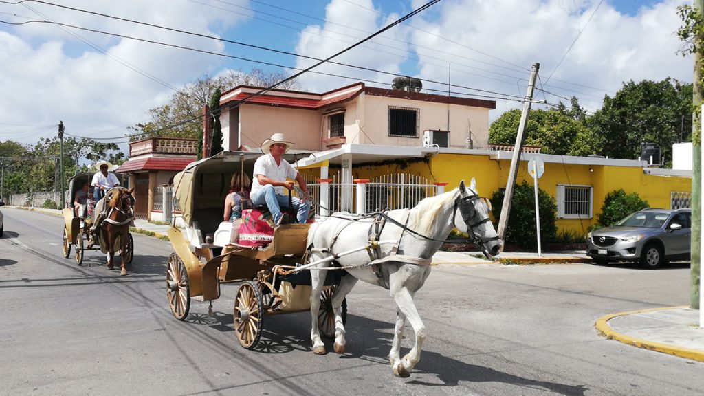 Adiós a la circulación de las calesas a partir de mayo