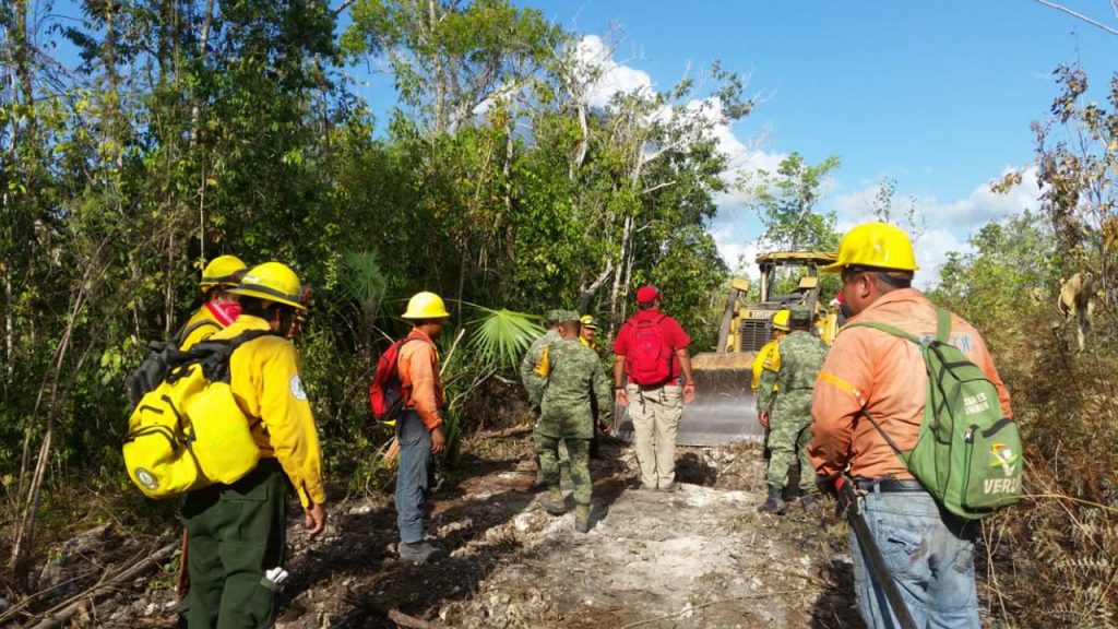 Detectan focos rojos en incendios forestales, en Bacalar y Mahahual