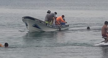 Asegurado por las autoridades, cocodrilo se paseaba en el Malecón de Cozumel