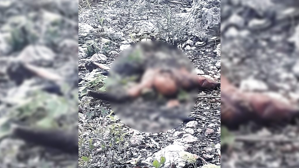 Semi calcinado en un terreno de la Col. E. Zapata en Cancún