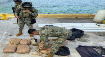 Aseguran paquetes de marihuana en Mahahual