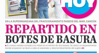 Desmembrado entre la basura en la región 251