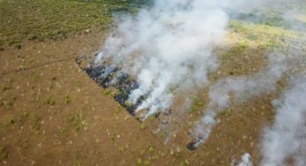Extinguen cinco de incendios forestales en QRoo