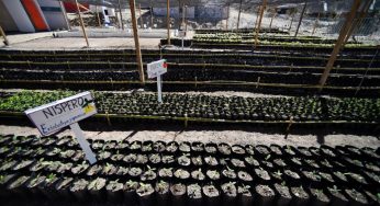 AMLO insiste en Sembrando Vida para enfrentar cambio climático y migración