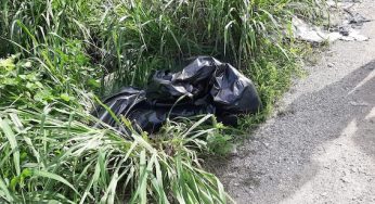 Macabro hallazgo en la Región 225, localizan cuerpo descuartizado