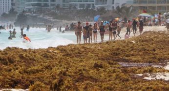 Lanzan llamado urgente por recale de sargazo