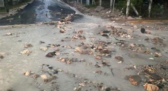 Bacalar sufre por abandono de CAPA