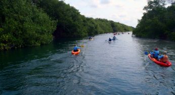 Fonatur invertirá en la ruta ‘Rio Hondo’