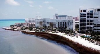 Playas “libres” de sargazo en Quintana Roo