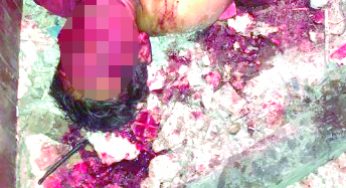 Tasajeados con machete en la 239