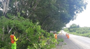 Carreteras federales operan normal