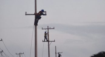 Restablecido 97% del servicio de energía eléctrica en Q.Roo, de acuerdo con CFE