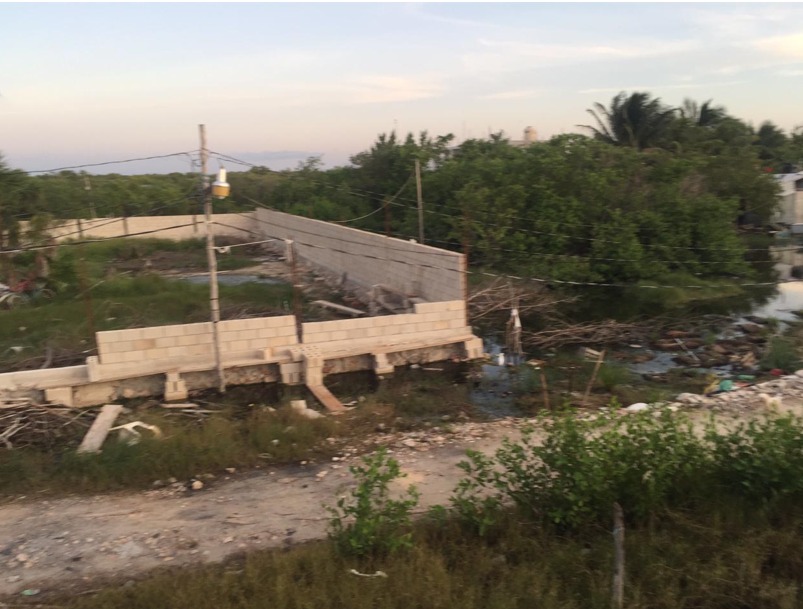 Denuncian más ecocidio en Holbox siguen los desmontes y relleno de manera ilegal de manglares