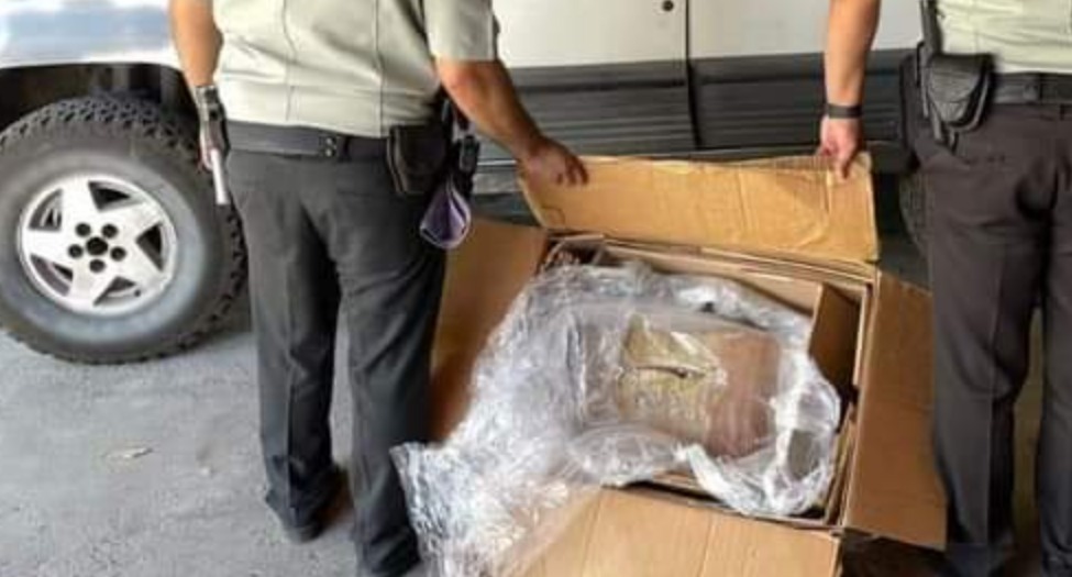 Aseguran más de 4 kilos de droga la guardia nacional