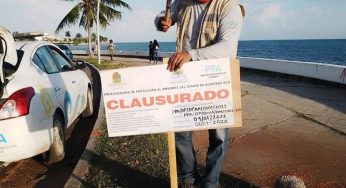 Sin permisos tala de árboles en Chetumal, por obras de “Mejoramiento del Malecón”
