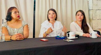 BUSCAN TIPIFICAR LA VIOLENCIA VICARIA, PRESENTAN INICIATIVA