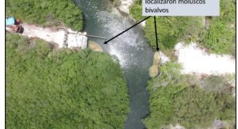 Buscan reconectar poblados Mahahual-Xcalak, a través de un puente metálico