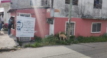 Catean casa presuntamente donde sujetos se dedican a la venta de estupefacientes en la supermanzana 73