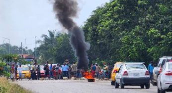Arde desalojo en Mahahual, deja cinco heridos con balas de salva