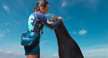 Se lleva Dolphin Discovery el premio a Mejor Parque Acuático en México