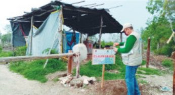 CRECEN LAS INVASIONES DE PREDIOS ESTATALES EN MAHAHUAL Y TULUM