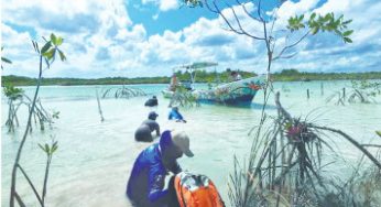 BACALAR CORTA BRECHAS CON EL MEDIO AMBIENTE