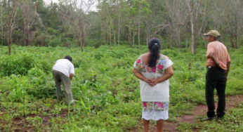 Cuestionan trabajo de la SEDARPE, Por pésimo trabajo