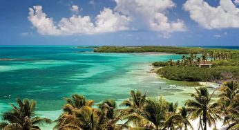 Establecen santuarios para tortugas marinas, Isla contoy, uno de los elegidos