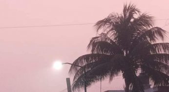 Neblina genera afectación matutina, hay que sacar el cobertor