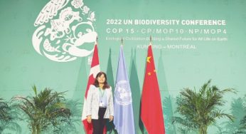 Avances para frenar cambio climático en la Cop 15