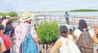 Punta Sur se consolida en el sector académico durante el 2022