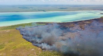 Arrancan prevención de incendios forestales, en Sian Ka’an