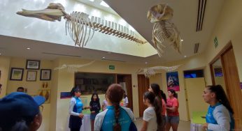 Conviven niñas con expertas en mamíferos marinos de Delphinus para conmemorar Día Internacional de la Mujer y la Niña en la Ciencia