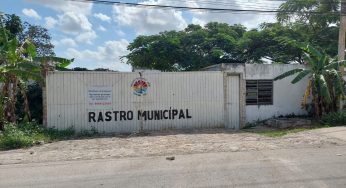 BJ se quedará sin rastro municipal; Ayuntamiento sin proyecto al respecto
