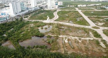 Airbnb y WWF México buscarán frenar la crisis ambiental