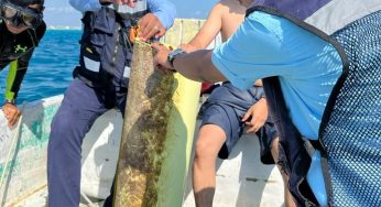 Aguakan con respecto a la fuga en línea de conducción de agua potable en Isla Mujeres